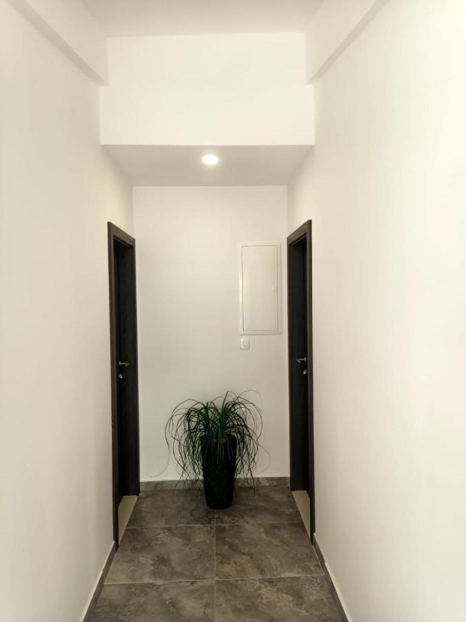 Apartman Lux 마카르스카 외부 사진